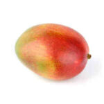 Mangue