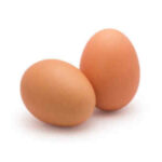 Oeuf