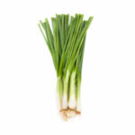 Oignon vert