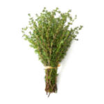 Thym frais