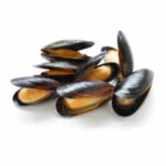 Moule