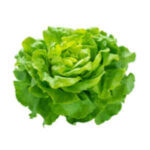 Salade verte
