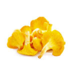 Chanterelles