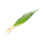 Ciboule