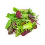 Jeunes pousses de salade