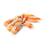 Langoustines