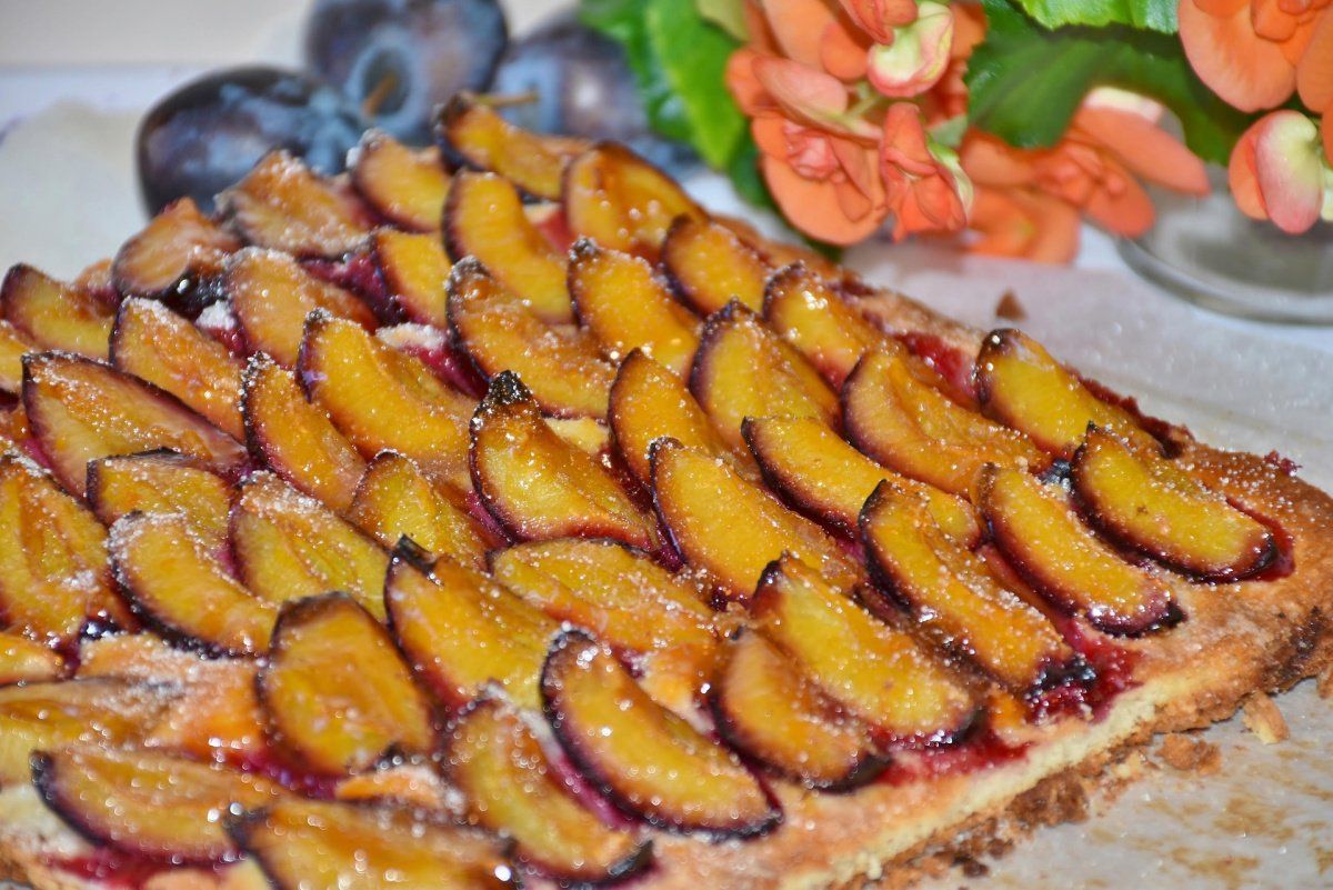 Tarte rectangulaire aux prunes, saupoudr&eacute;e de sucre cristallis&eacute;.