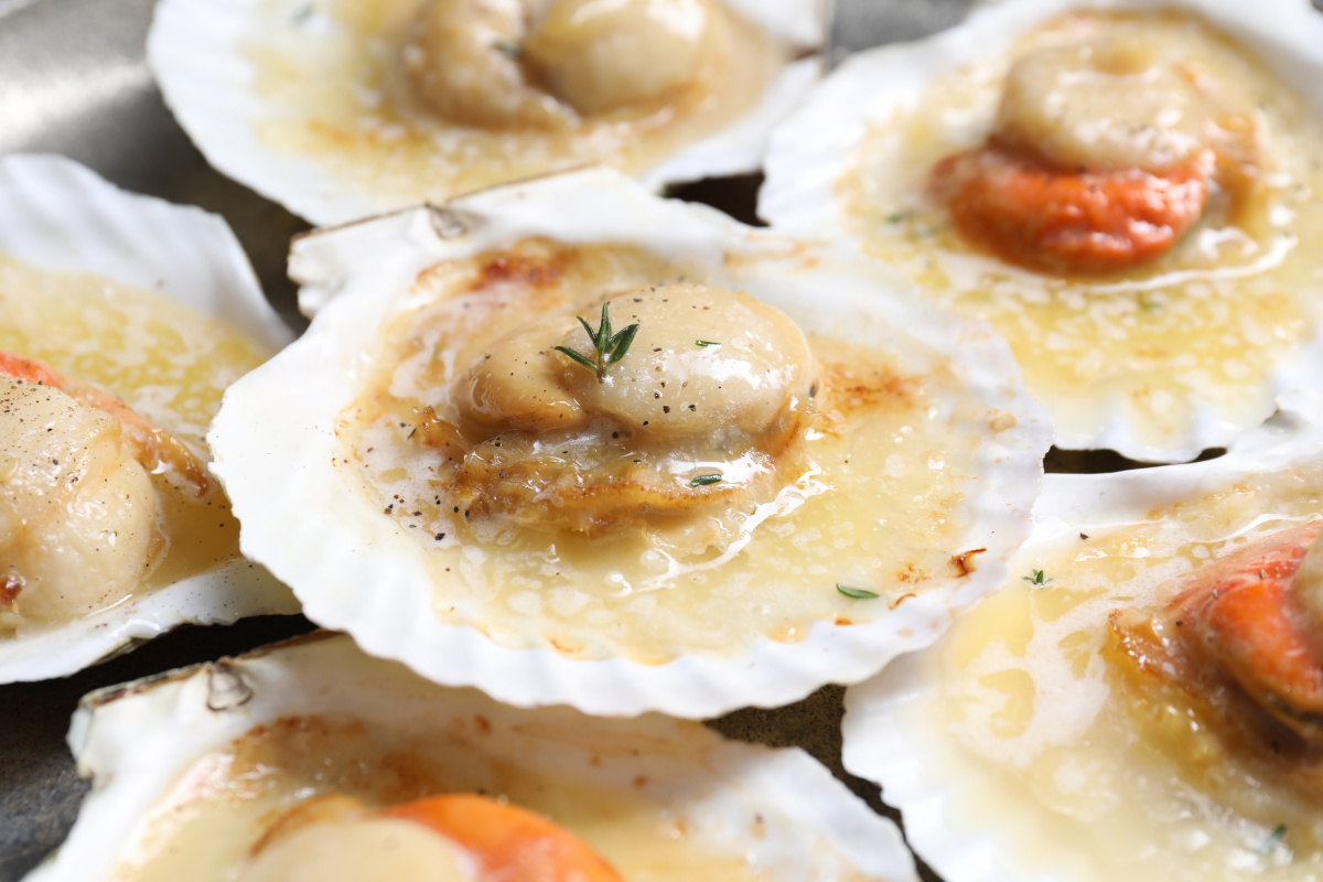 Saint-Jacques au beurre dans leur coquille