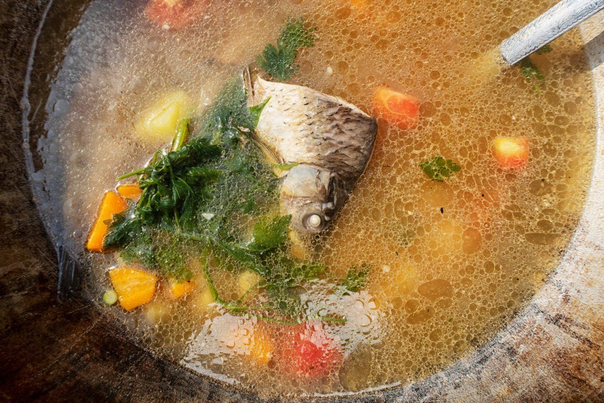 Court bouillon de poisson maison avec des légumes frais et des herbes aromatiques.