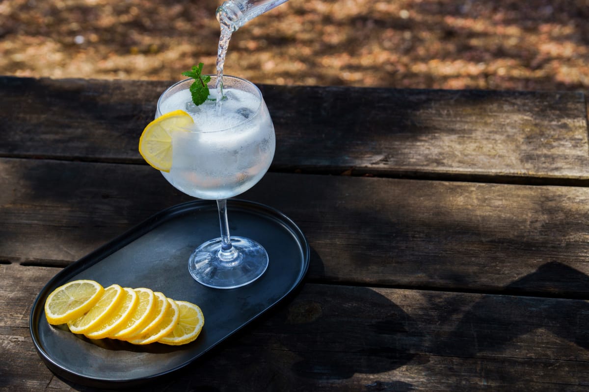 Gin tonic servi avec des gla&ccedil;ons, une tranche de citron.